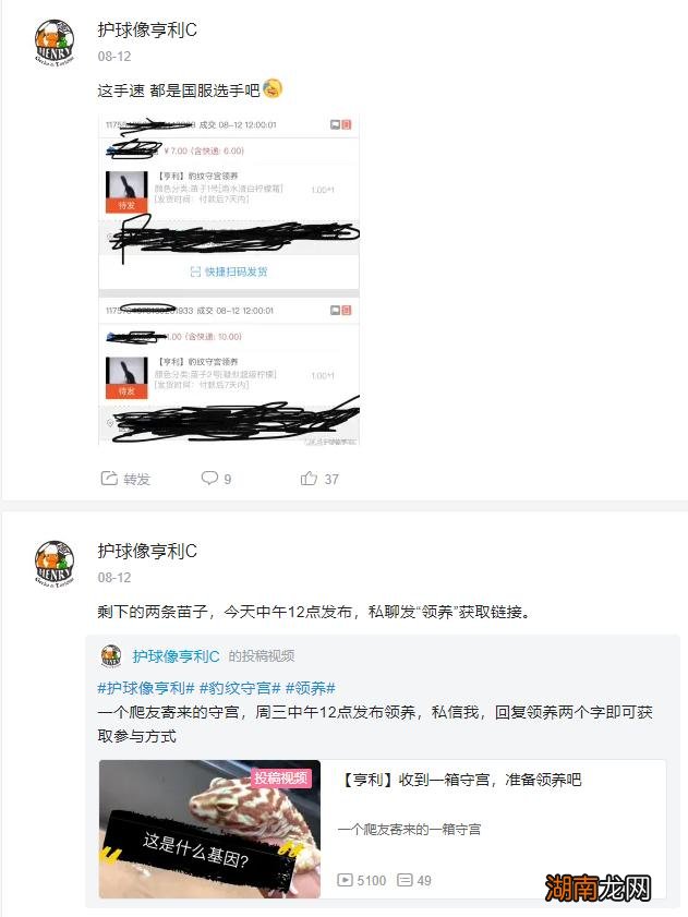 新手养守宫需要注意哪些问题 宠物守宫怎么养最好