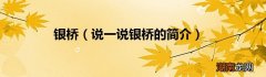 说一说银桥的简介 银桥