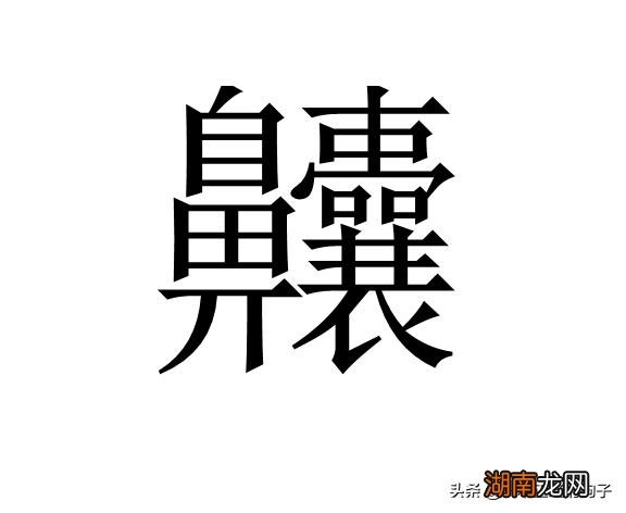汉字中最多笔画的字是什么 世界上什么字最难写