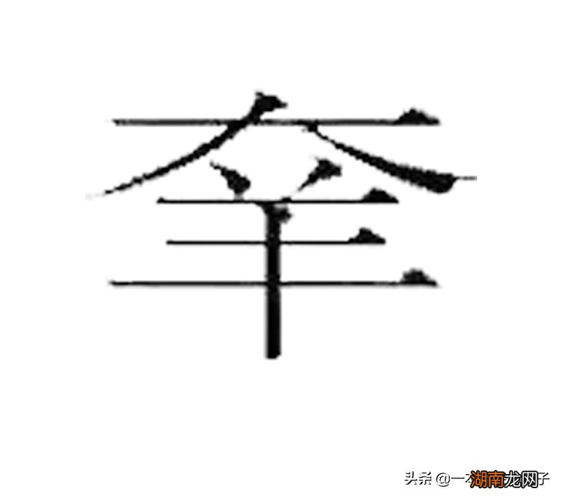 汉字中最多笔画的字是什么 世界上什么字最难写