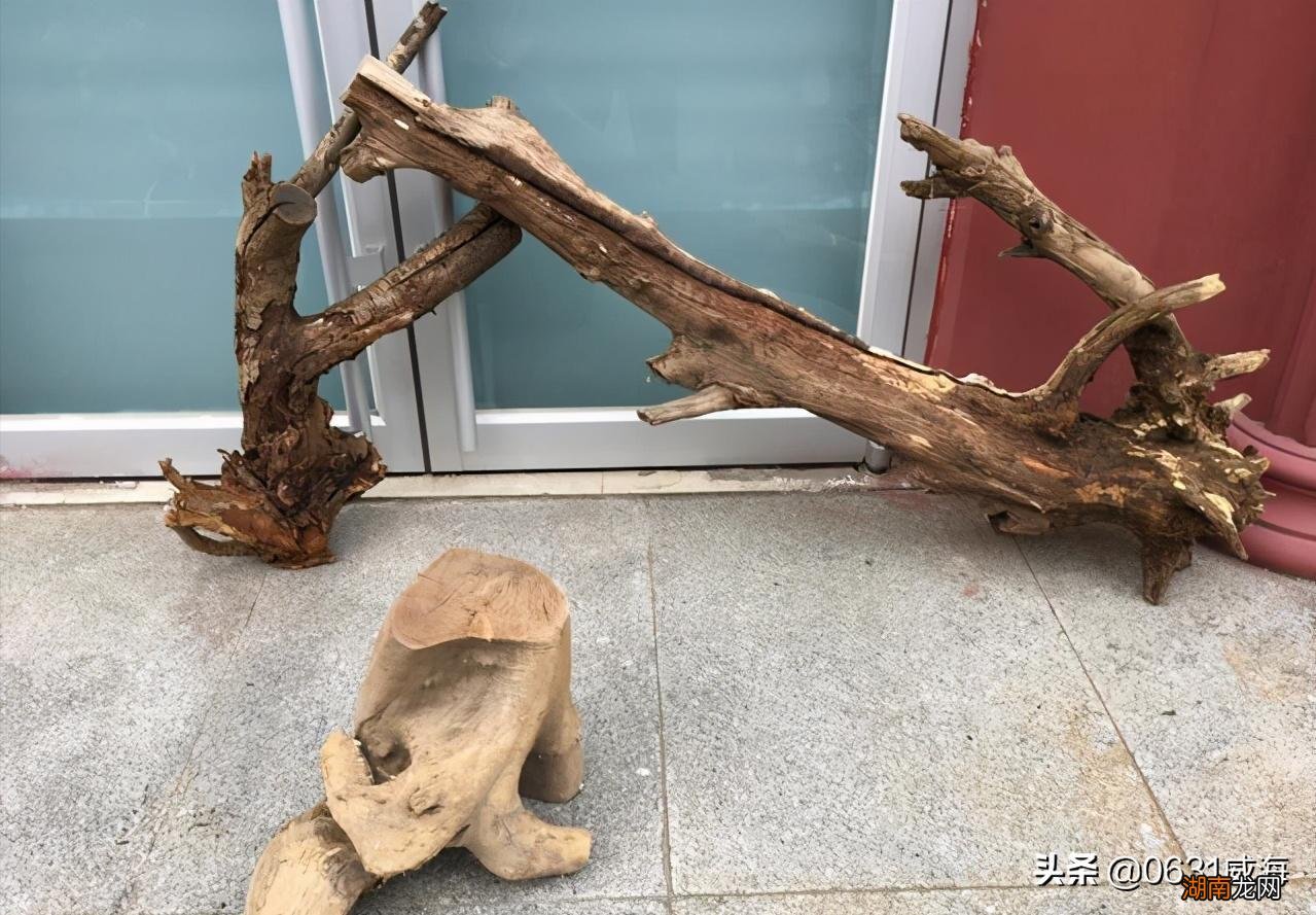 鱼缸里普通木头可以当沉木用吗 鱼缸沉木什么木头最佳