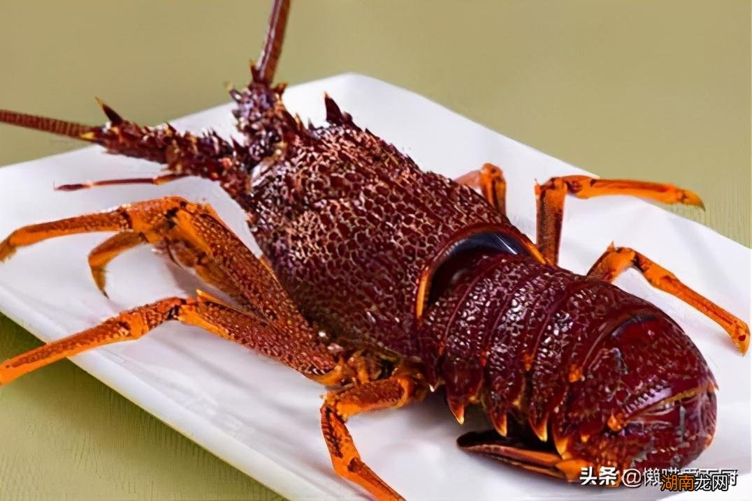 澳龙和波龙如何快速分辨 波士顿龙虾和澳洲龙虾区别
