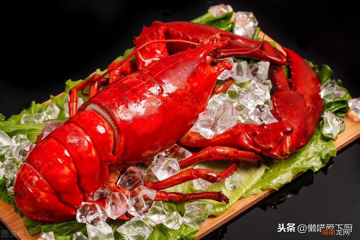 澳龙和波龙如何快速分辨 波士顿龙虾和澳洲龙虾区别