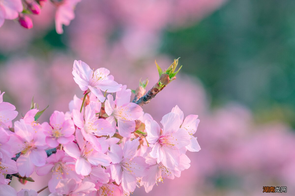 什么情况下男人会喊你老婆 一个男人会轻易喊你老婆吗