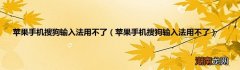 苹果手机搜狗输入法用不了 苹果手机搜狗输入法用不了