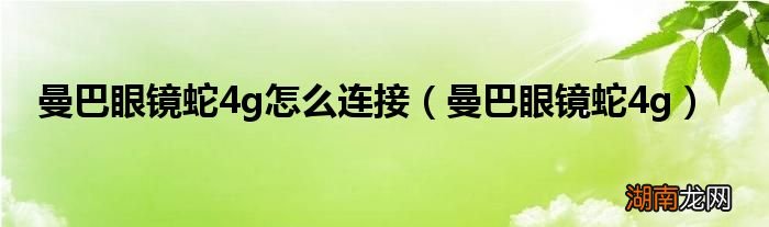 曼巴眼镜蛇4g 曼巴眼镜蛇4g怎么连接
