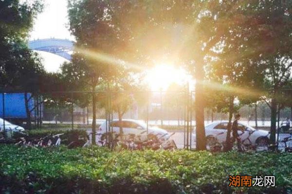 什么材质筷子用着安全 家庭用什么筷子最好最健康