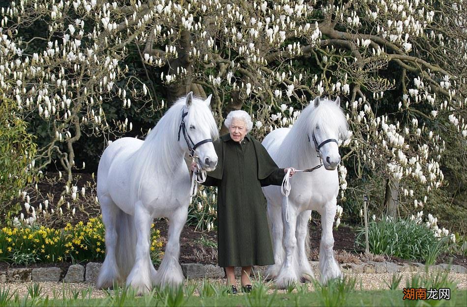 2022伊丽莎白二世女王的年龄 英国女王多少岁了