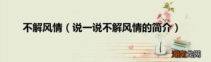 说一说不解风情的简介 不解风情