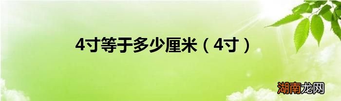 4寸 4寸等于多少厘米