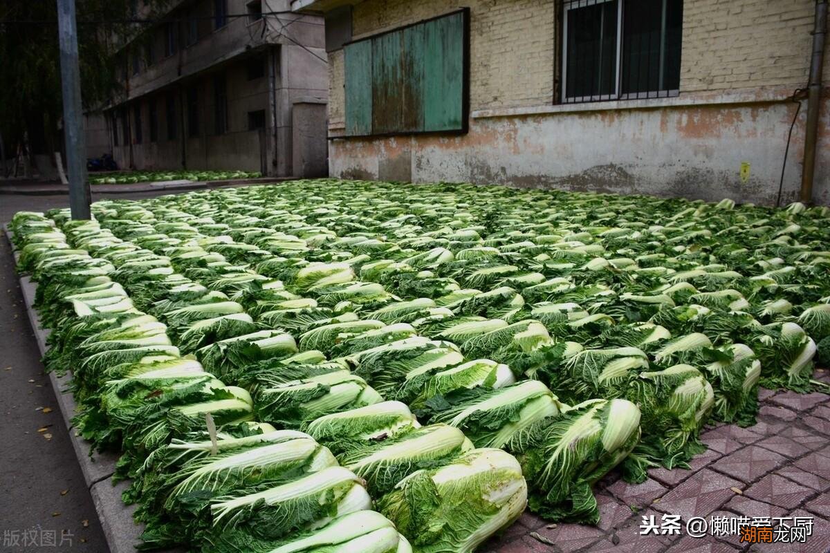 家里白菜如何储存不变质 新鲜白菜放冰箱能放多久