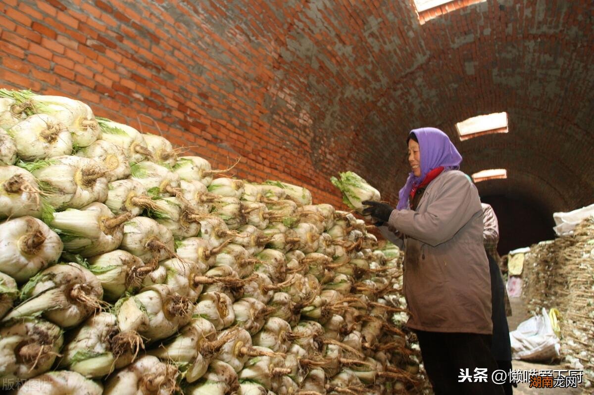 家里白菜如何储存不变质 新鲜白菜放冰箱能放多久