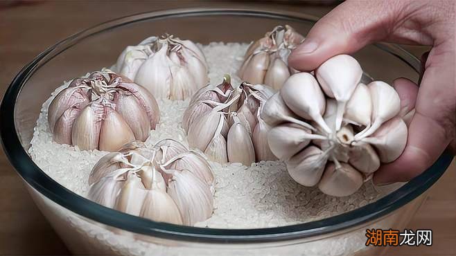 预防米生虫子处理小妙招 防止米生虫的最有效方法