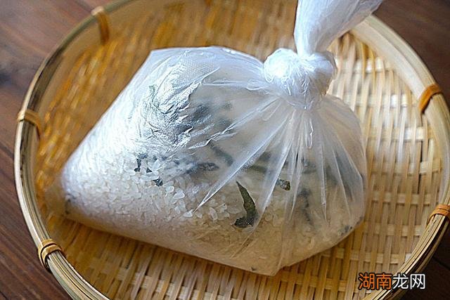 预防米生虫子处理小妙招 防止米生虫的最有效方法