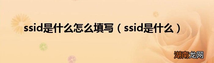 ssid是什么 ssid是什么怎么填写