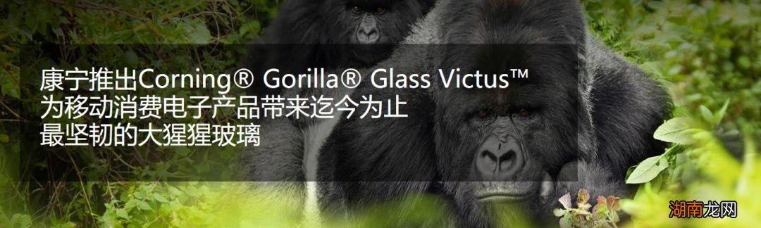 手机贴膜什么样的质量最好 手机软膜好还是钢化膜好