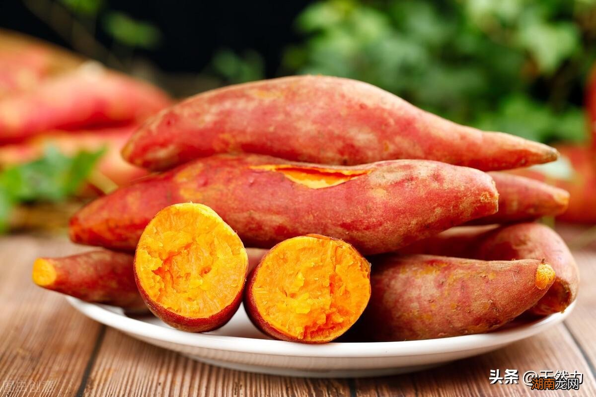 蒸红薯有技巧会更香甜 蒸红薯蒸多长时间能熟透