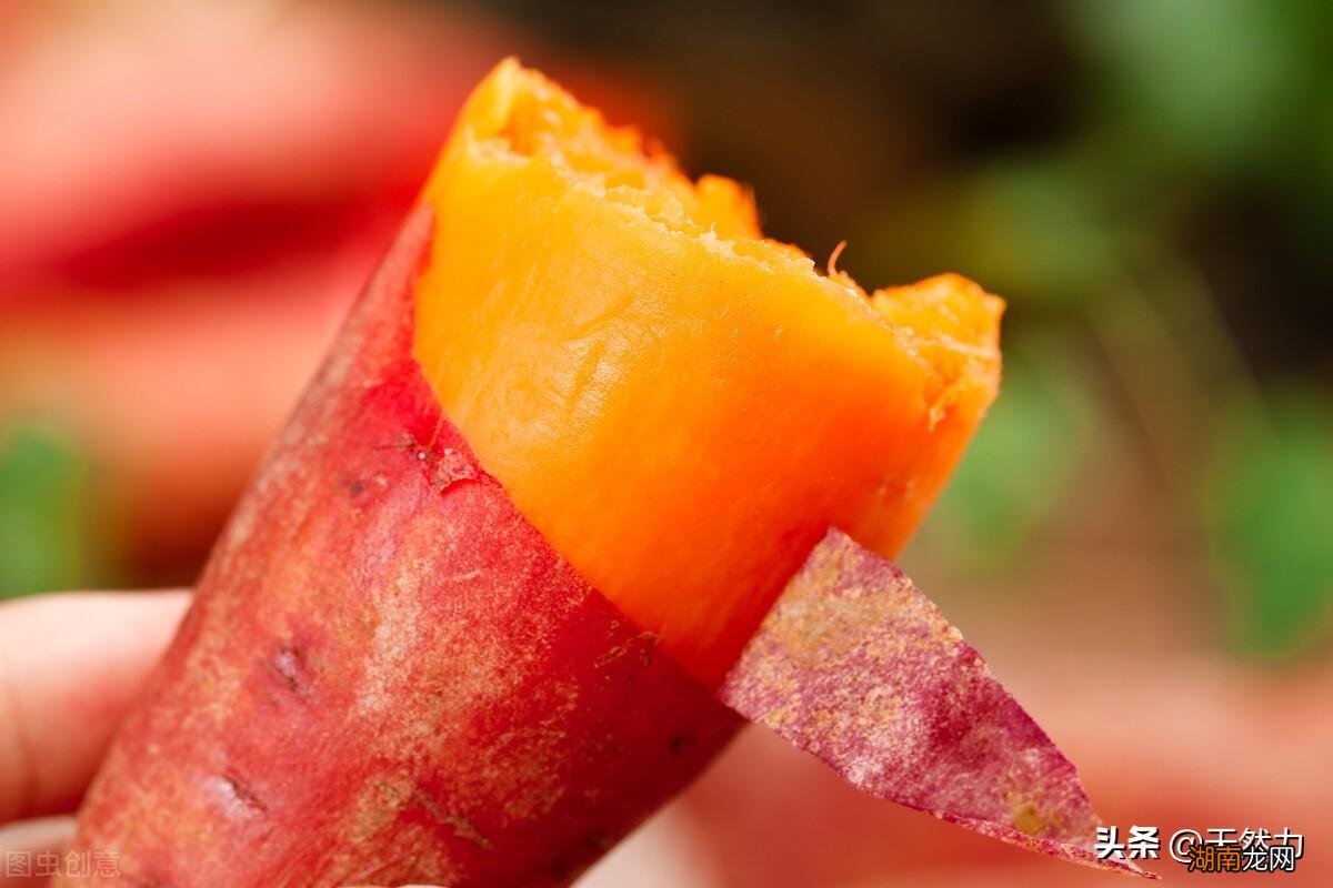 蒸红薯有技巧会更香甜 蒸红薯蒸多长时间能熟透