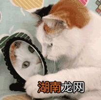 情侣越长越像因为接吻吗 情侣接吻真的会越长越像吗