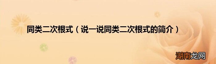 说一说同类二次根式的简介 同类二次根式