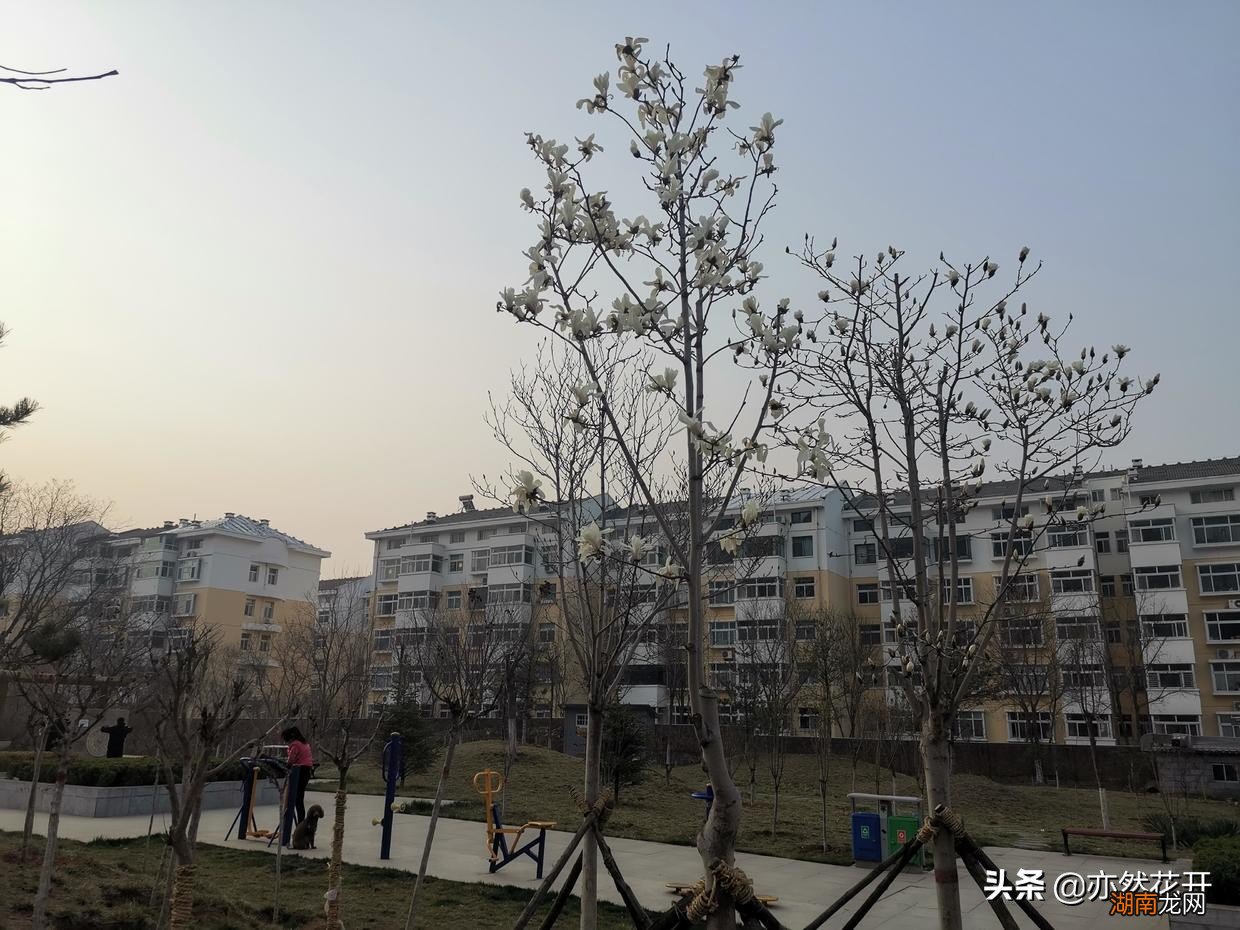 对牛弹琴故事给我们的启示 对牛弹琴告诉我们什么道理