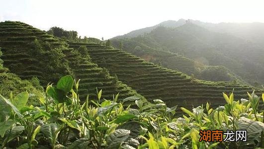 亚美尼亚共和国的前世今生 亚美尼亚国土面积和人口