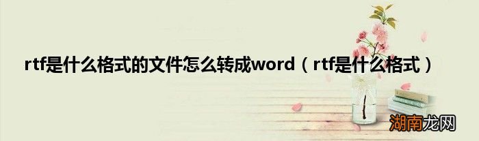 rtf是什么格式 rtf是什么格式的文件怎么转成word