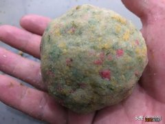 为什么用螺鲤总是钓不到鲤鱼 螺鲤钓鲤鱼的最佳配方