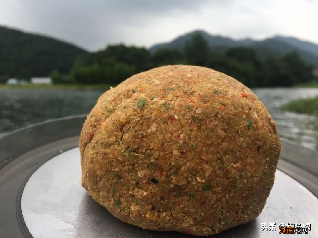 为什么用螺鲤总是钓不到鲤鱼 螺鲤钓鲤鱼的最佳配方