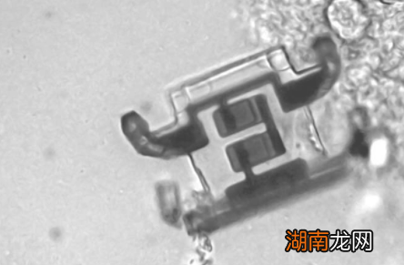 借助激光技术，微型机器人得以“行走”