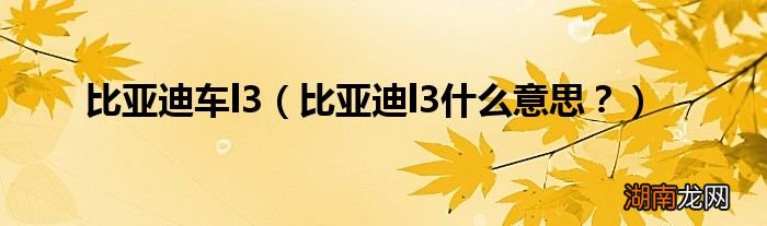 比亚迪l3什么意思? 比亚迪车l3