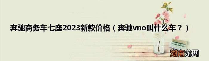 奔驰vno叫什么车? 奔驰商务车七座2023新款价格