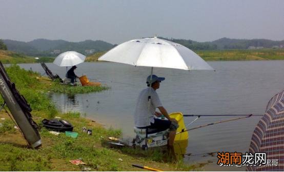 钓鱼时怎样抓住正确的时机 中午钓鱼钓深还是浅好