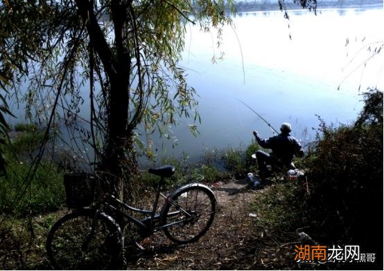 钓鱼时怎样抓住正确的时机 中午钓鱼钓深还是浅好