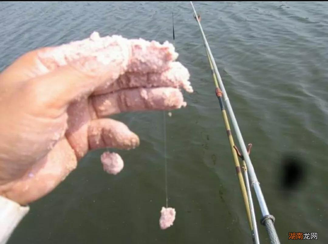 钓鲢鳙有口不中鱼的原因 钓鲢鳙有口打不到鱼怎么回事