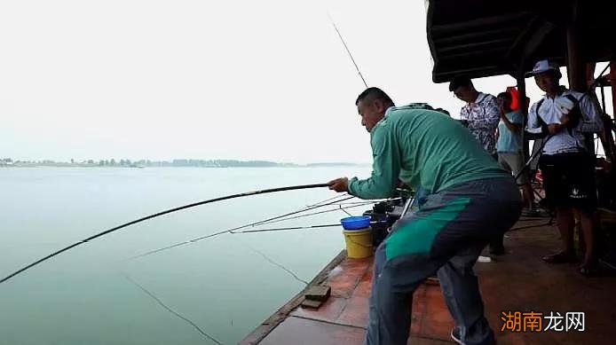 钓鲢鳙有口不中鱼的原因 钓鲢鳙有口打不到鱼怎么回事