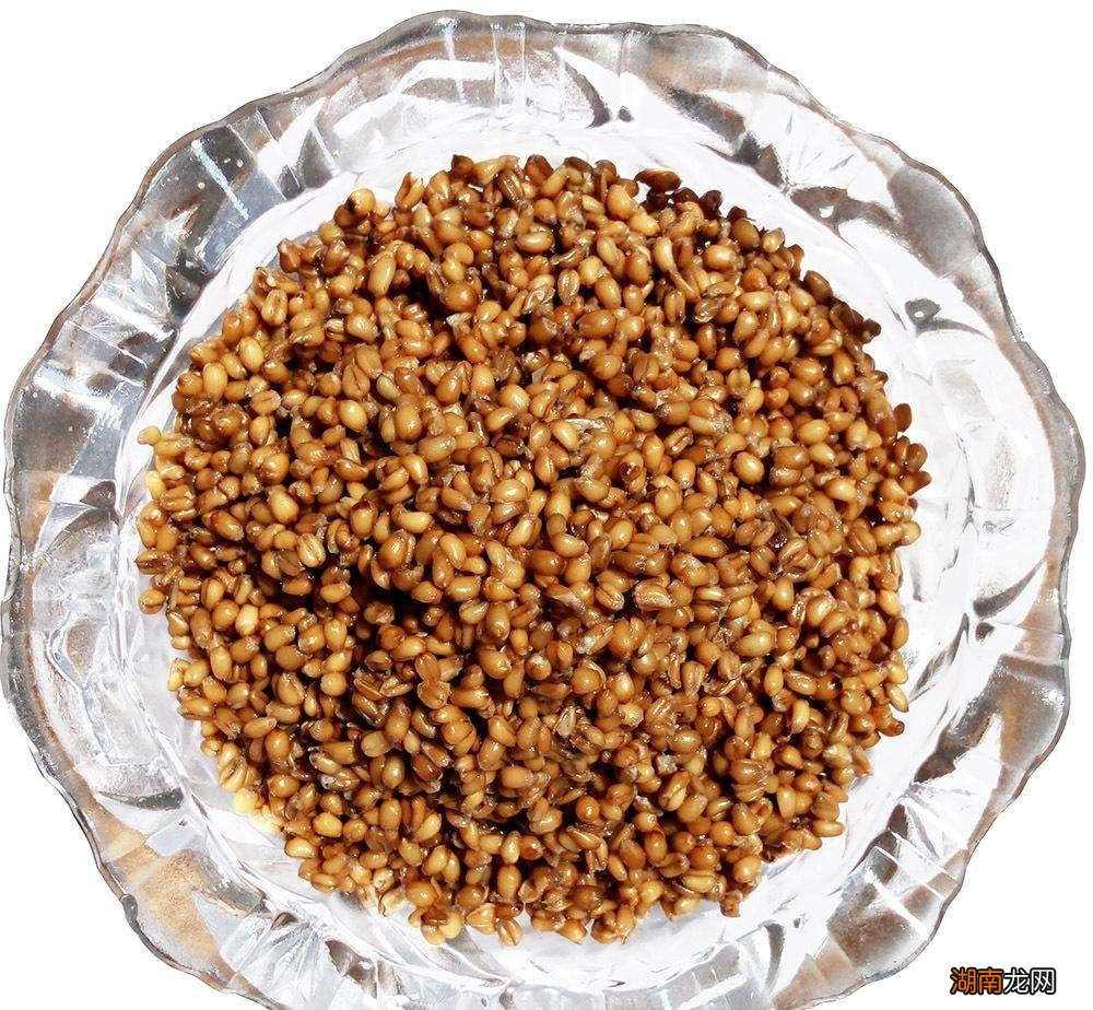 钓渔获更多更好的3种自制窝料 钓鱼打窝子最佳配方