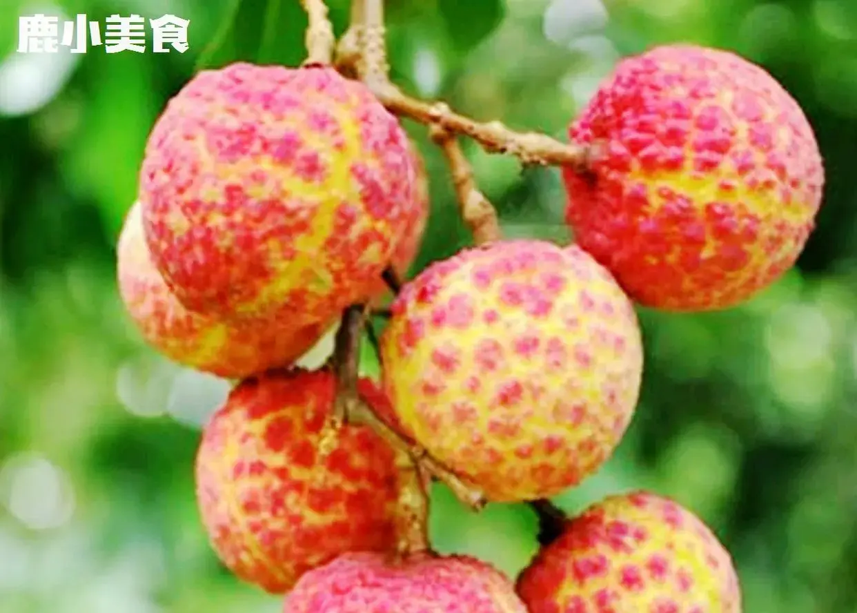 全国5个出名且味道好吃的荔枝品种 荔枝哪个品种好吃又甜