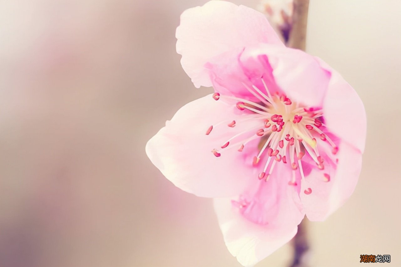 情商高女人用提问方式对待感情 高情商女人问男人的问题