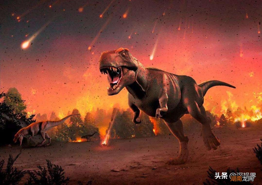 史前恐龙真的已经完全灭绝了吗 恐龙灭绝距今多少年