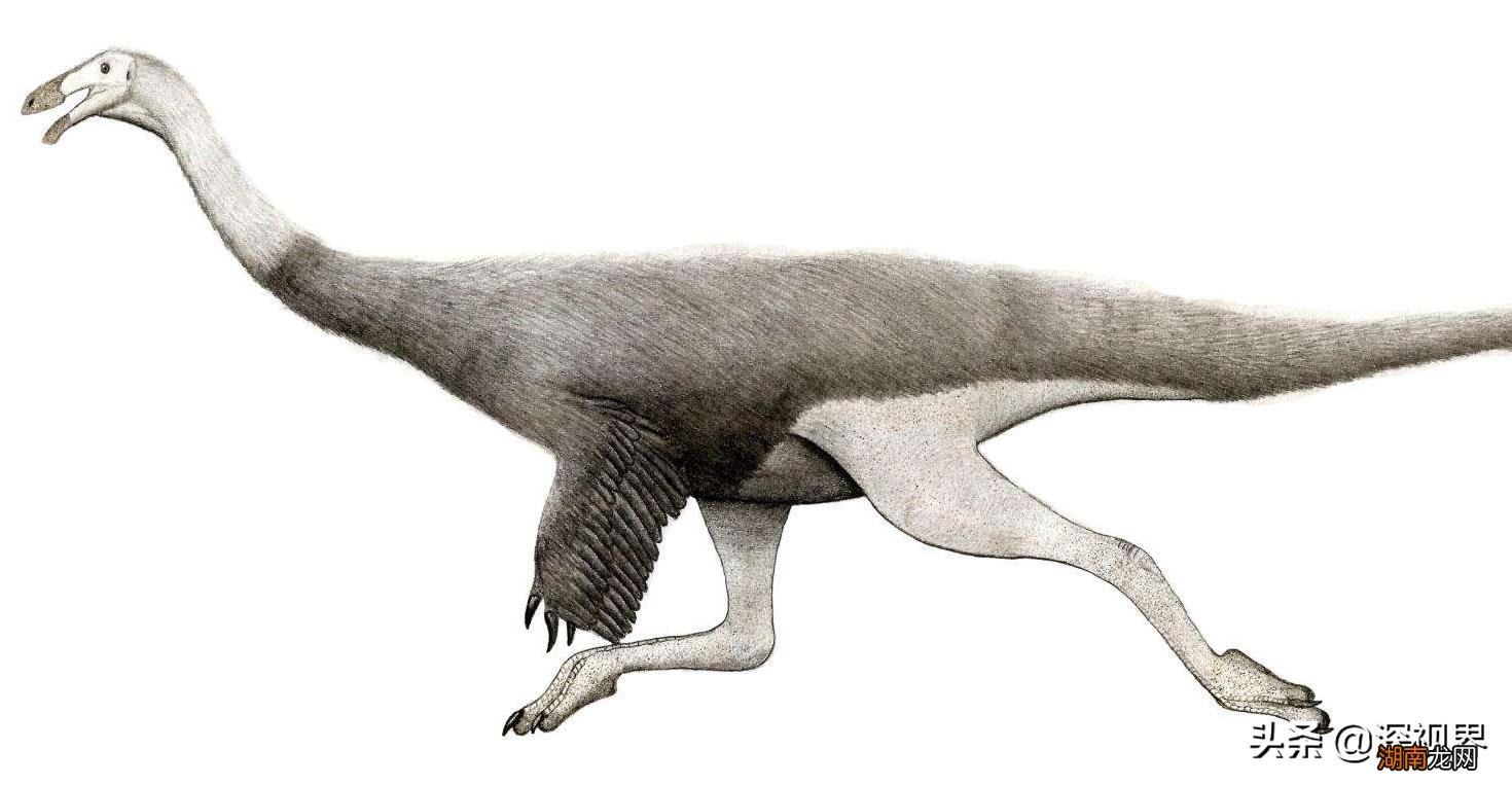 史前恐龙真的已经完全灭绝了吗 恐龙灭绝距今多少年
