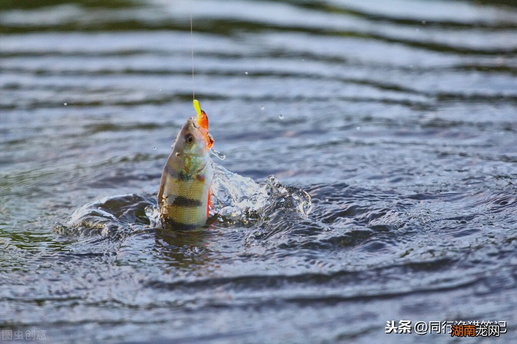 路亚竿有几种调性是怎么区分的 路亚竿调性区分简介