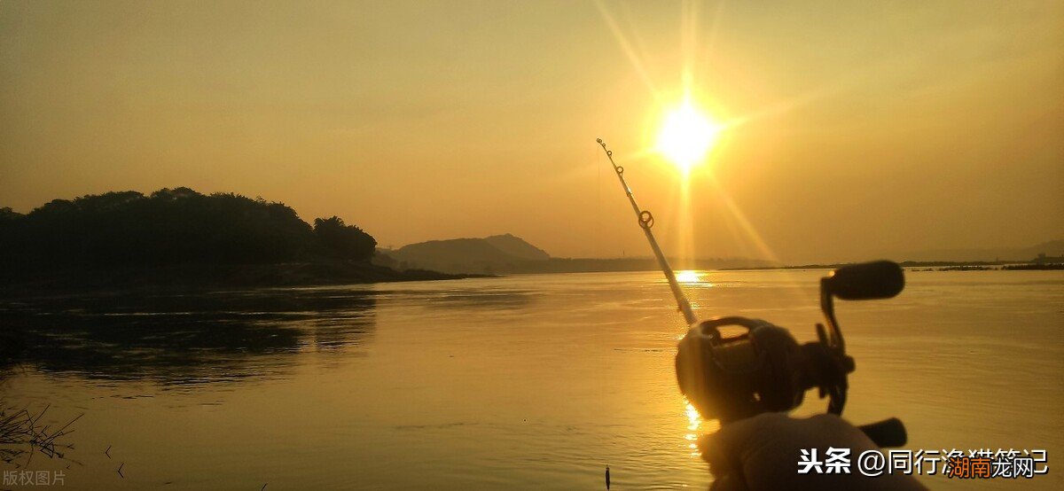 路亚竿有几种调性是怎么区分的 路亚竿调性区分简介