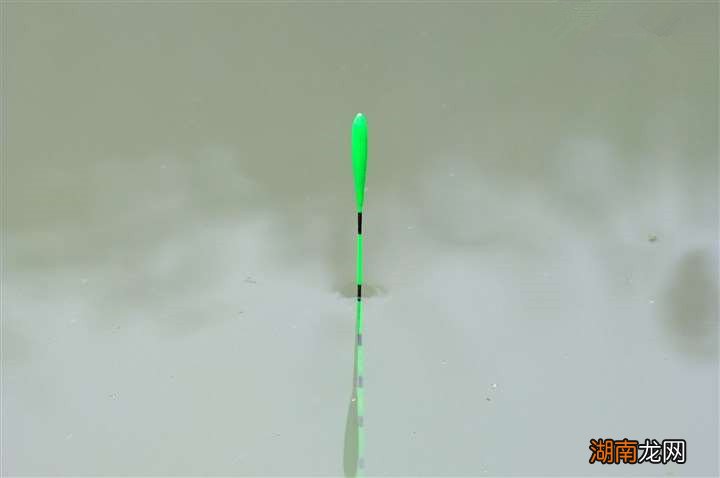 调四钓二精准调漂法的步骤 调四钓二最准确的方法