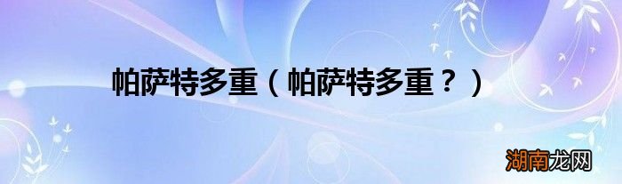 帕萨特多重? 帕萨特多重