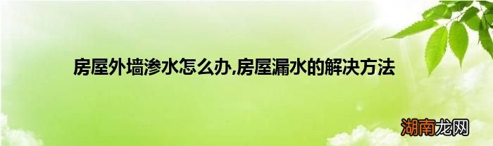 房屋外墙渗水怎么办,房屋漏水的解决方法