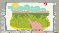 河南的简称为什么是豫字 河南简称豫的由来是什么