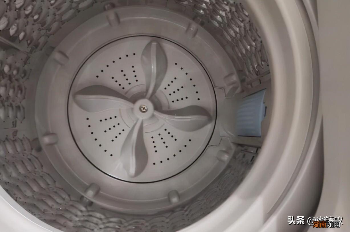 洗衣机转不动但是有嗡嗡作响是什么原因造成的