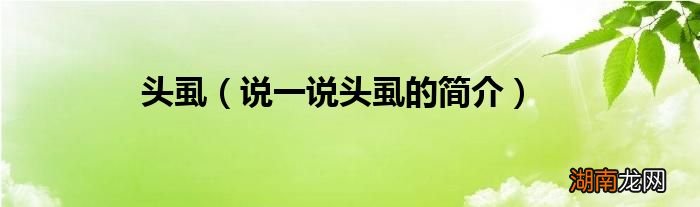 说一说头虱的简介 头虱