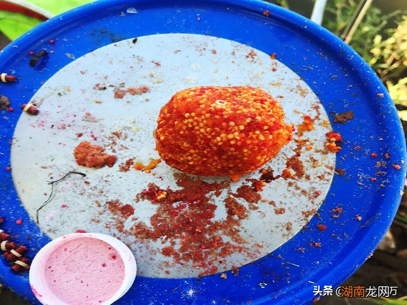 初学钓鱼用什么鱼竿比较好 新手钓鱼入门基本知识